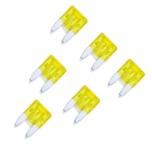 100 Pack Auto Fuses 20 AMP APM/ATM 32V Mini Blade Style Fuses - Product Imagery