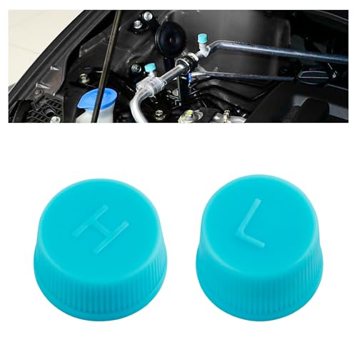2PCS Car Air Conditioner Valve Caps,Dustproof Car AC Caps with - Product Imagery