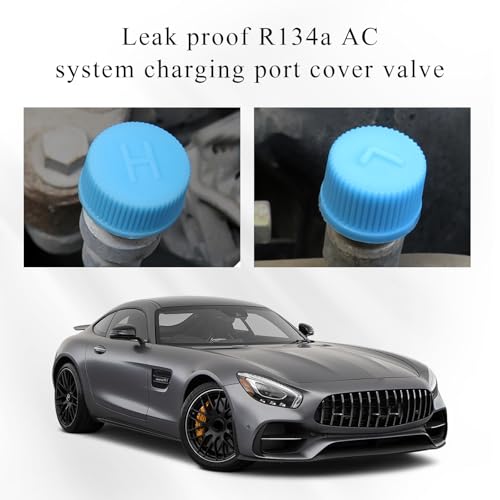 povtii Replacement Valve Caps for Car Air Conditioning, - Product Imagery
