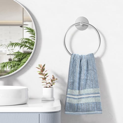 Nickel Brushed Bathroom Towel Ring - SUS304 Stainless Steel - Product Imagery