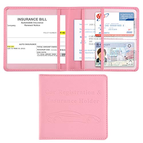Cacturism Car Registration and Insurance Holder, Glove Box - Product Imagery
