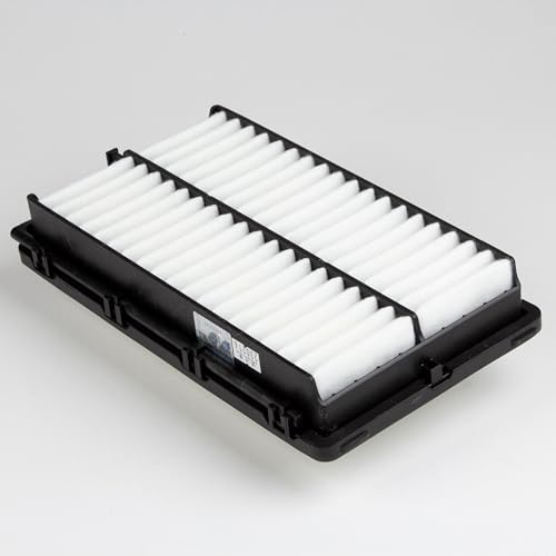 28113-L1000 / 28113-N9000 Genuine OEM Engine Air Filter - Product Imagery