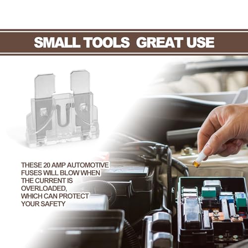 20Pcs 25 Amp Standard Car Fuses, Automotive Replacement Fuses - Product Imagery