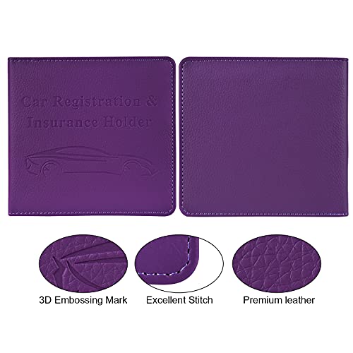Cacturism Car Registration and Insurance Holder, Glove Box - Product Imagery
