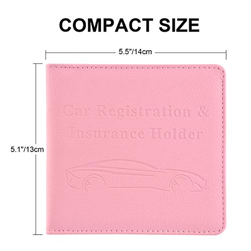 Cacturism Car Registration and Insurance Holder, Glove Box - Product Imagery