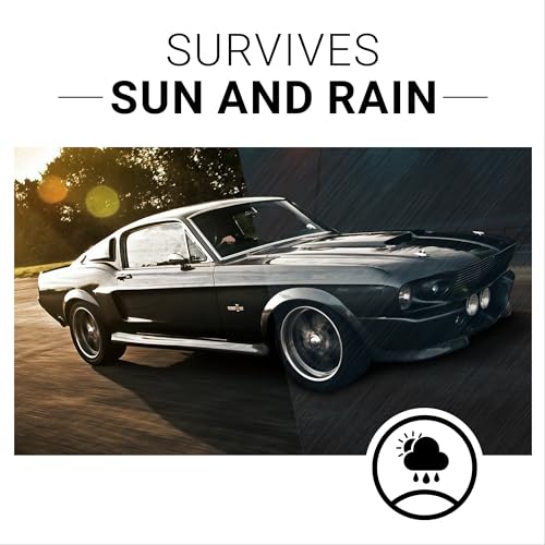 CarGuys Plastic Restorer | Bring Plastic, Rubber, and Vinyl Back - Product Imagery