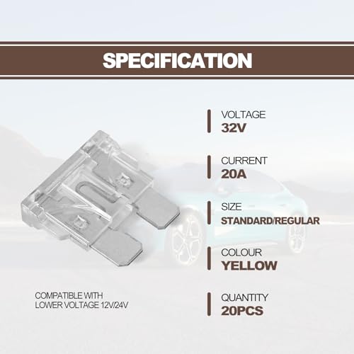 20Pcs 25 Amp Standard Car Fuses, Automotive Replacement Fuses - Product Imagery