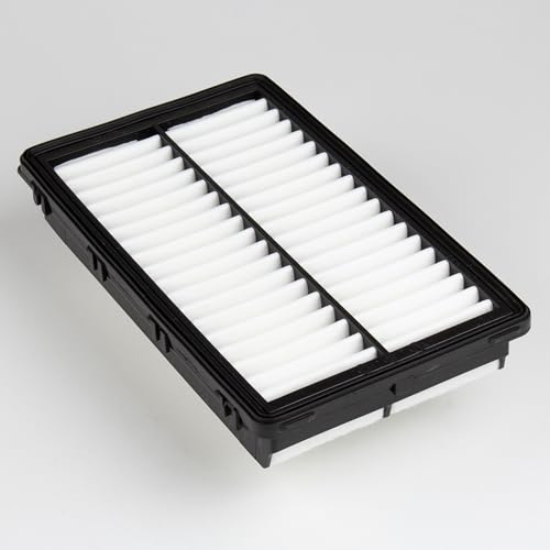 28113-L1000 / 28113-N9000 Genuine OEM Engine Air Filter - Product Imagery