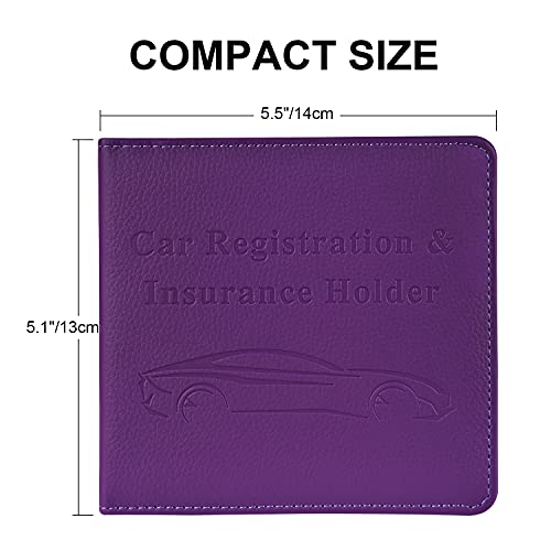 Cacturism Car Registration and Insurance Holder, Glove Box - Product Imagery