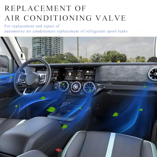 povtii Replacement Valve Caps for Car Air Conditioning, - Product Imagery