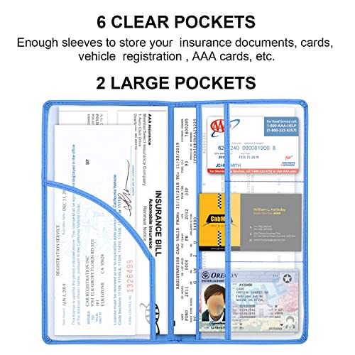 Cacturism Car Registration and Insurance Holder, Glove Box - Product Imagery