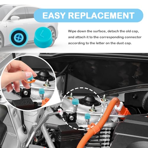 2PCS Car Air Conditioner Valve Caps,Dustproof Car AC Caps with - Product Imagery