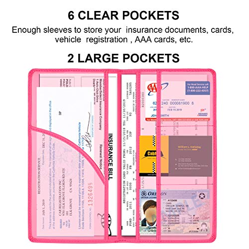 Cacturism Car Registration and Insurance Holder, Glove Box - Product Imagery