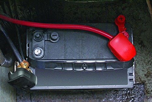 WirthCo Battery Doctor 20158 Battery Quick Disconnect Caps, Top - Product Imagery