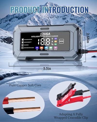 Car Battery Charger Automatic Trickle Charger and Battery - Product Imagery