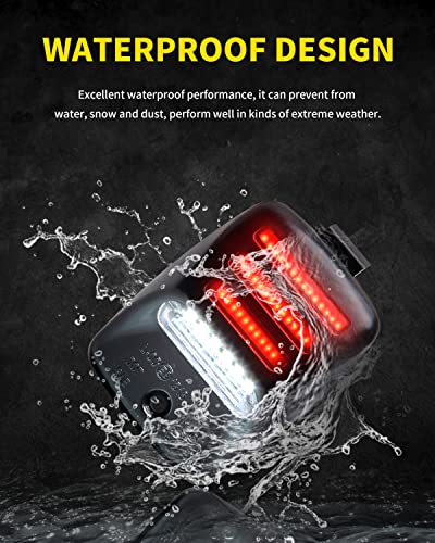 Pure White LED License Plate Lights with Red OLED Neon Tube Tag - Product Imagery