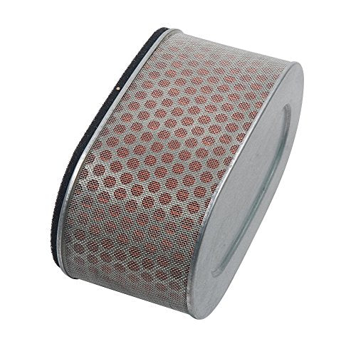 HIFROM Air Filter Replacement for Honda VT C Shadow 750 VT750 VT - Product Imagery