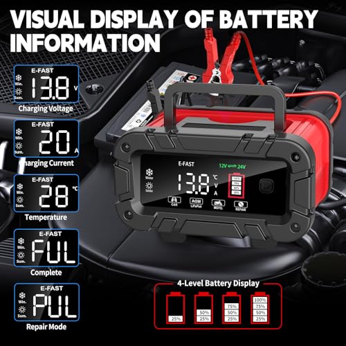 E-FAST Battery Charger 0-20A 12/24V Lifepo4 Lead Acid Automatic - Product Imagery