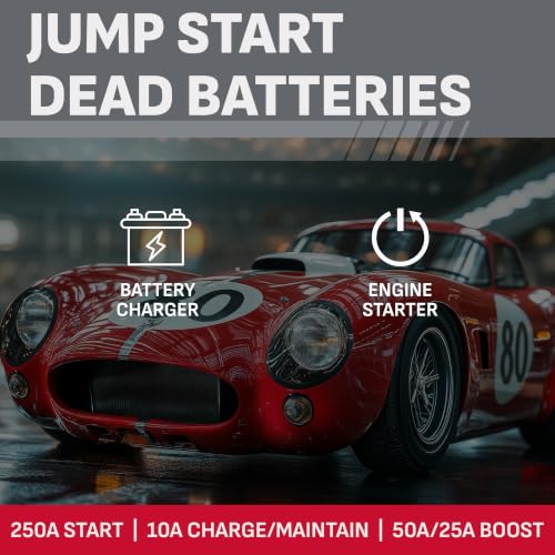 Schumacher Electric Wheeled 6/12V 250A Car Battery - Product Imagery