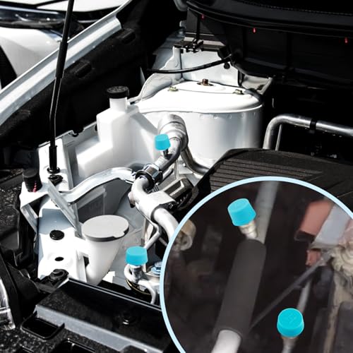 2PCS Car Air Conditioner Valve Caps,Dustproof Car AC Caps with - Product Imagery