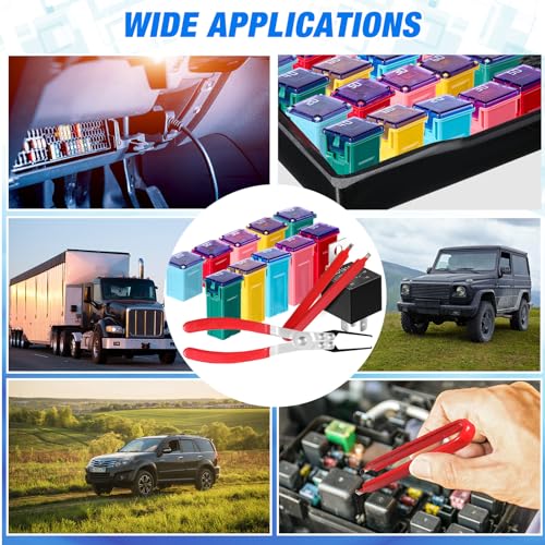 DaisyInner 36 Pcs Car Fuse Assortment Kit Fuse and Puller Plier - Product Imagery