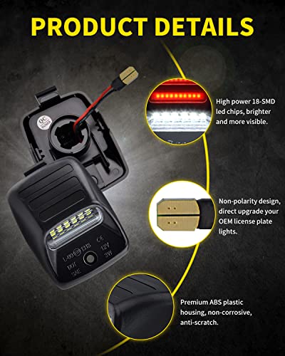 Pure White LED License Plate Lights with Red OLED Neon Tube Tag - Product Imagery