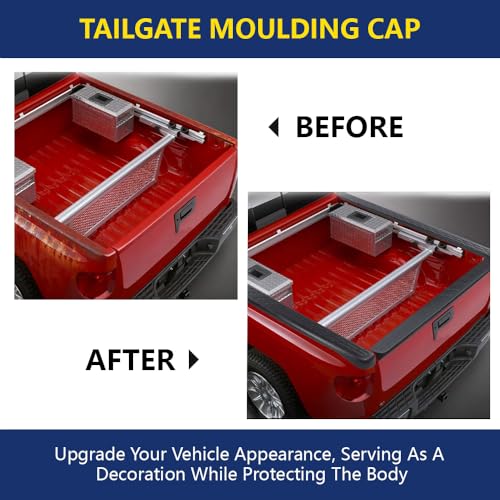 Tail Gate Cover Replacement for Nissan Titan 2004-2012 Pickup - Product Imagery