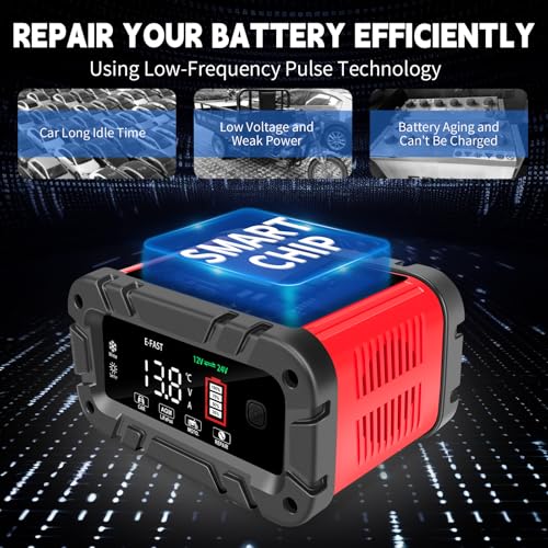 E-FAST Battery Charger 0-20A 12/24V Lifepo4 Lead Acid Automatic - Product Imagery