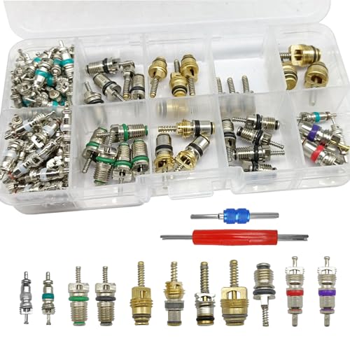 102Pcs Air Conditioning Valve Core Accessories Kit, A/C R12 - Product Imagery