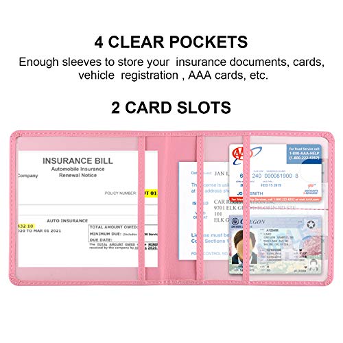 Cacturism Car Registration and Insurance Holder, Glove Box - Product Imagery