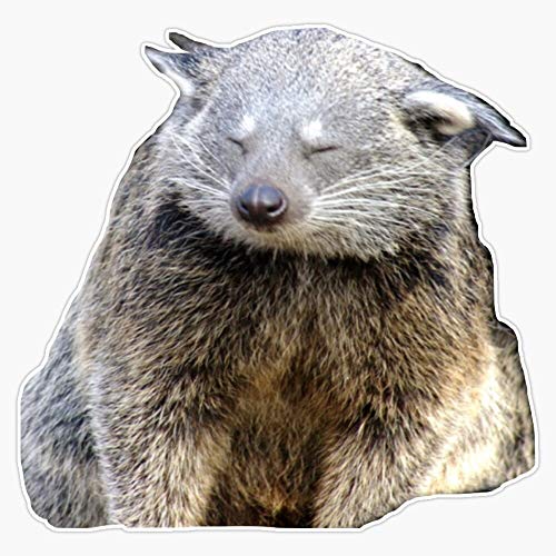 Bearcat Waterproof Vinyl Window Bumper Sticker Decal 5" - Product Imagery