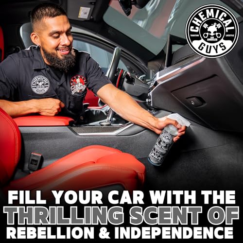 Chemical Guys, Black Frost Air Freshener & Odor Neutralizer - Product Imagery