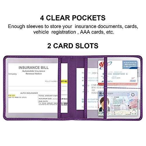Cacturism Car Registration and Insurance Holder, Glove Box - Product Imagery