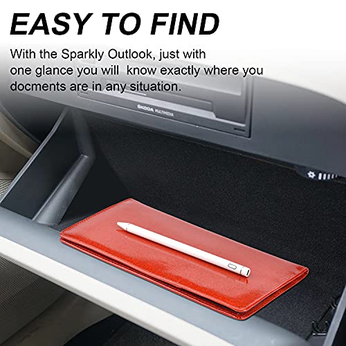 Cacturism Car Registration and Insurance Holder, Glove Box - Product Imagery