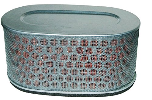 HIFROM Air Filter Replacement for Honda VT C Shadow 750 VT750 VT - Product Imagery