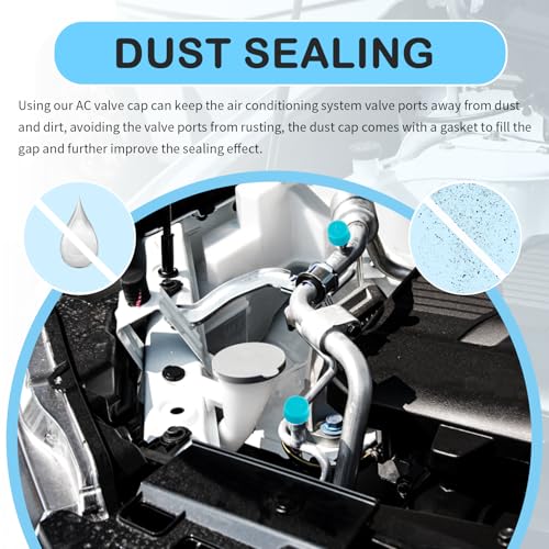 2PCS Car Air Conditioner Valve Caps,Dustproof Car AC Caps with - Product Imagery