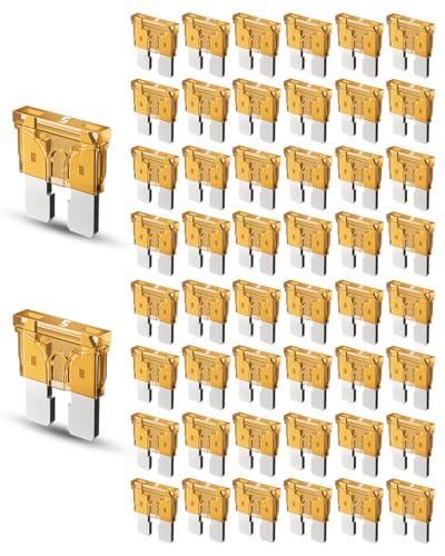 Riseuvo 50pcs 5A Standard Car Fuses - 5 AMP Automotive - Product Imagery