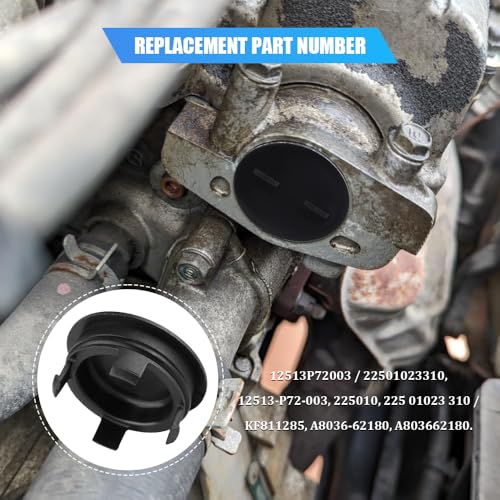 Cylinder Head Cam Plug with Seal, Automotive Replacement - Product Imagery