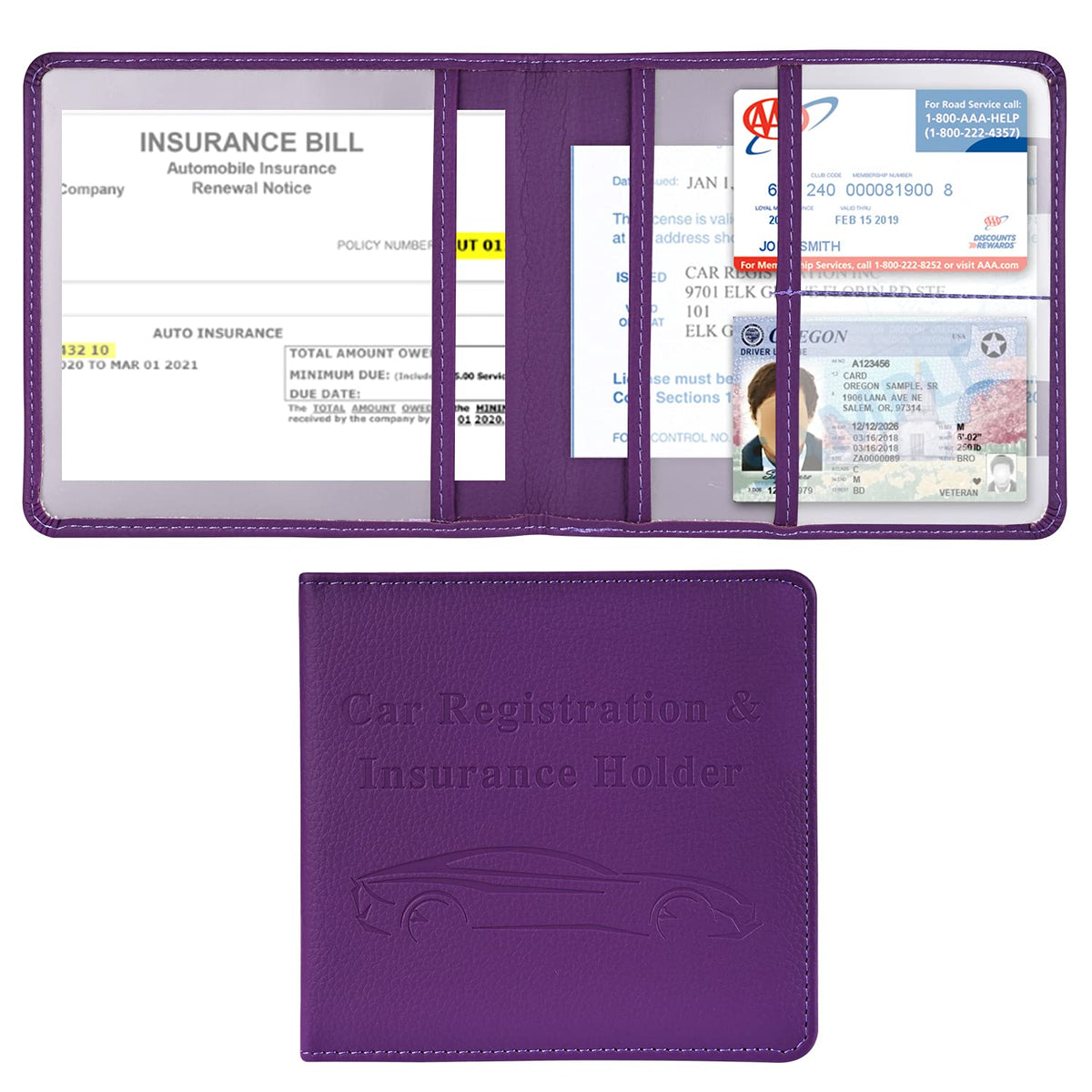 Cacturism Car Registration and Insurance Holder, Glove Box - Product Imagery